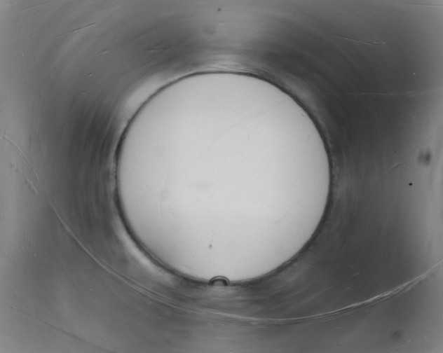 X0000112141479200908281305