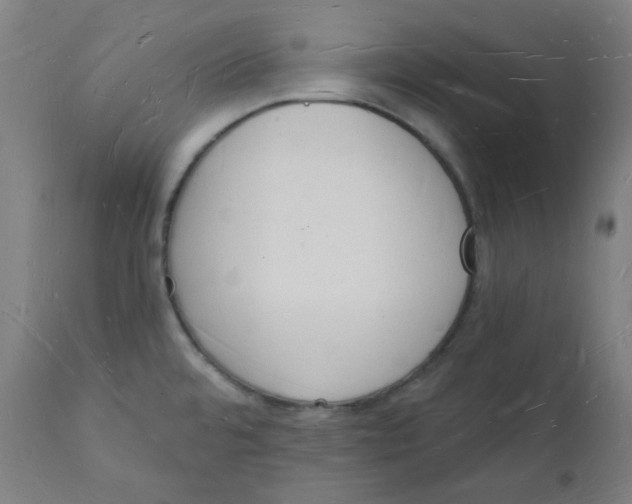 X0000112141480200908281305