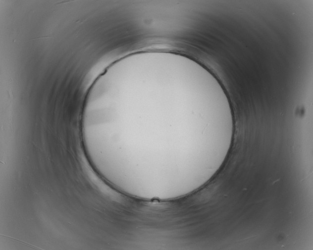 X0000112141483200908281305