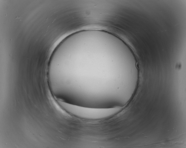 X0000112141484200908281305