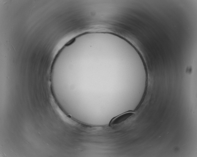 X0000112141485200908281305