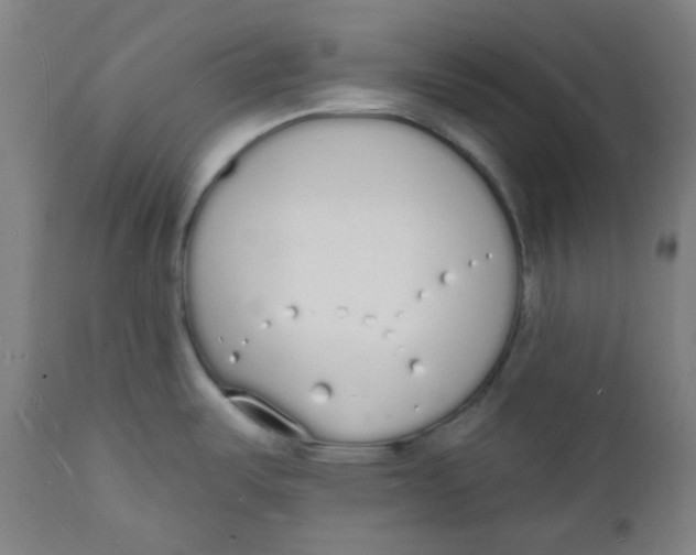 X0000112141487200908281305