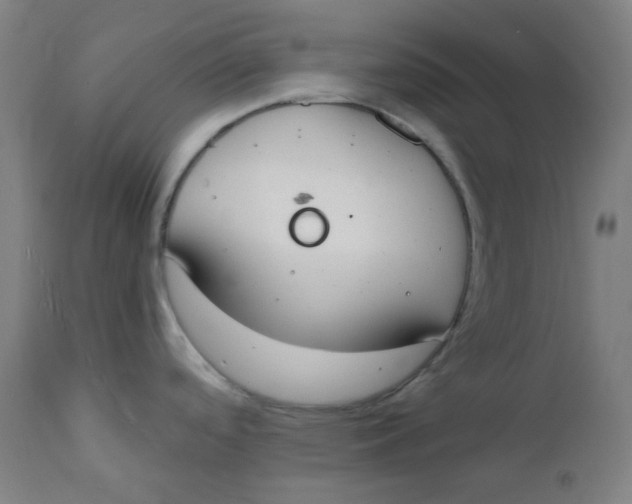 X0000112141488200908281305