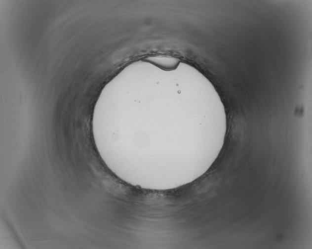 X0000112141489200908281304