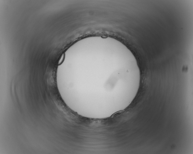 X0000112141490200908281304