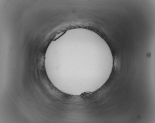 X0000112141492200908281304