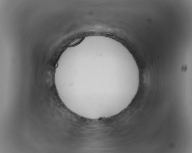 X0000112141493200908281304