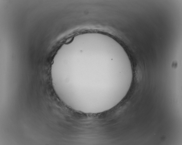 X0000112141494200908281304