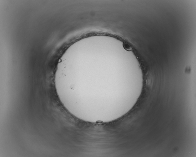 X0000112141495200908281304