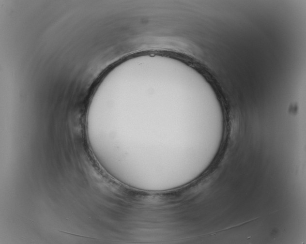 X0000112141497200908281304