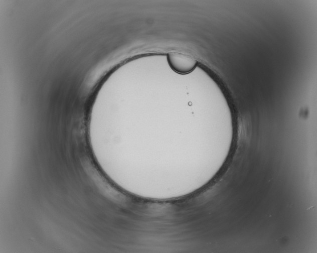 X0000112141498200908281304