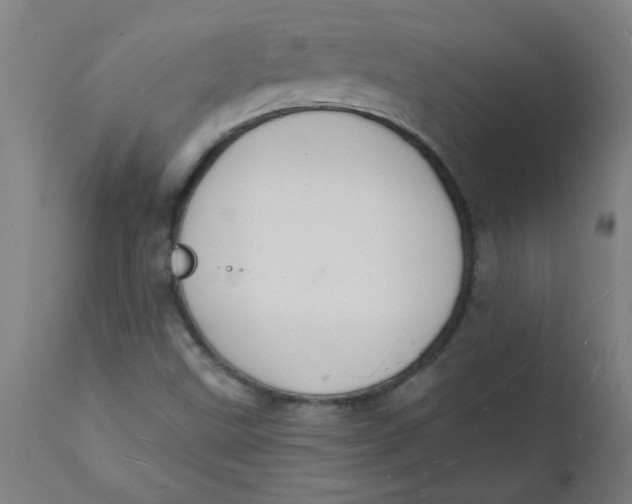 X0000112141499200908281304