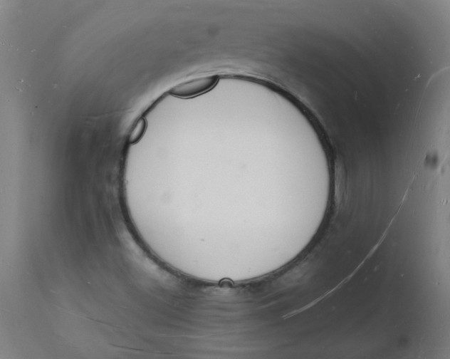 X0000112141500200908281305