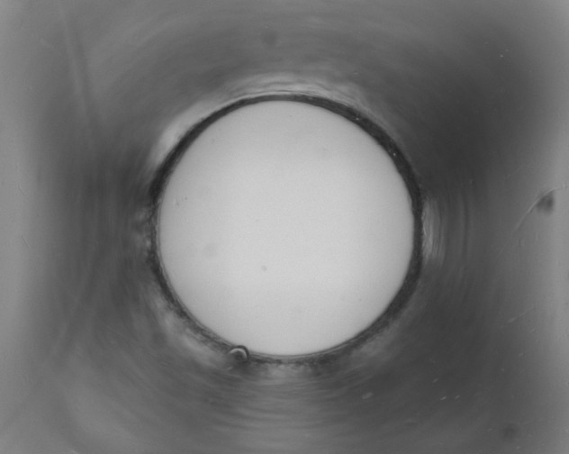 X0000112141501200908281305