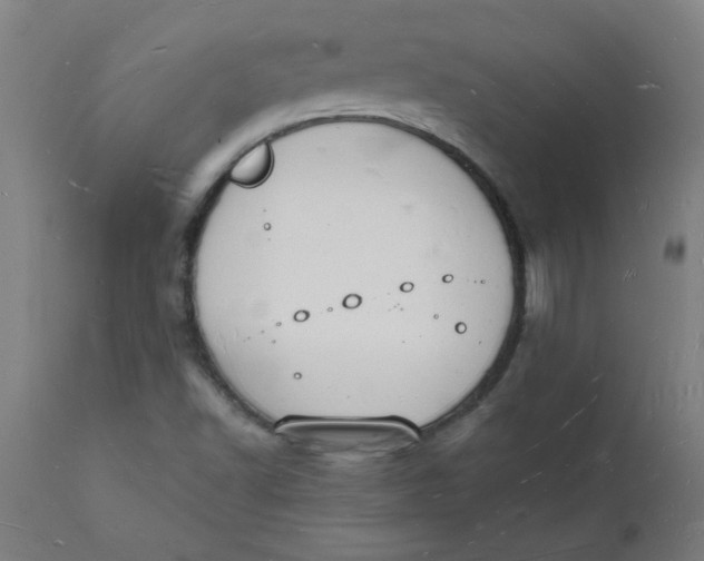 X0000112141502200908281305