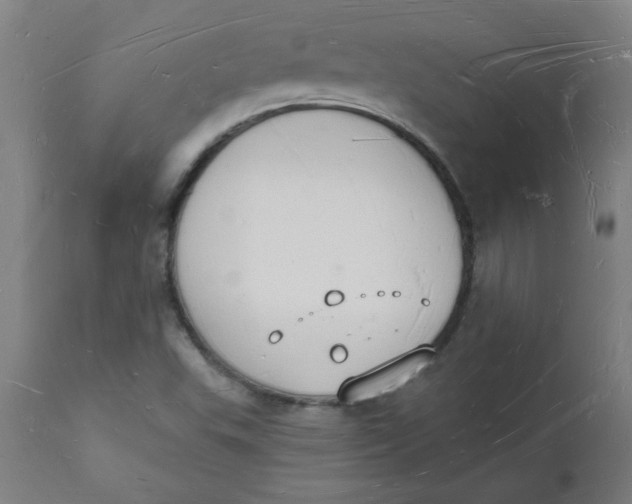 X0000112141503200908281305