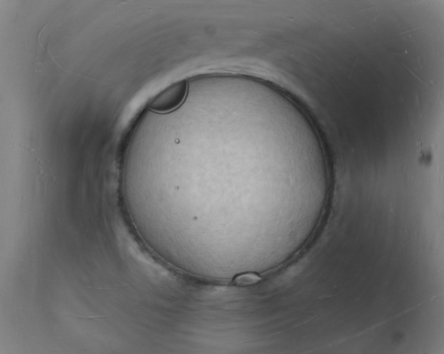 X0000112141506200908281305