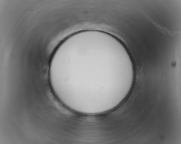 X0000112141507200908281305