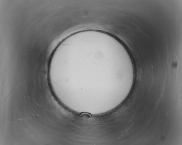 X0000112141508200908281305