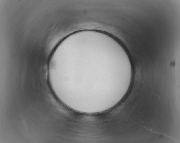 X0000112141509200908281305