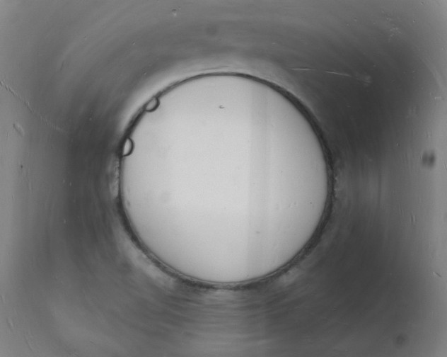 X0000112141510200908281305