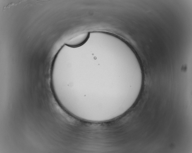 X0000112141512200908281305