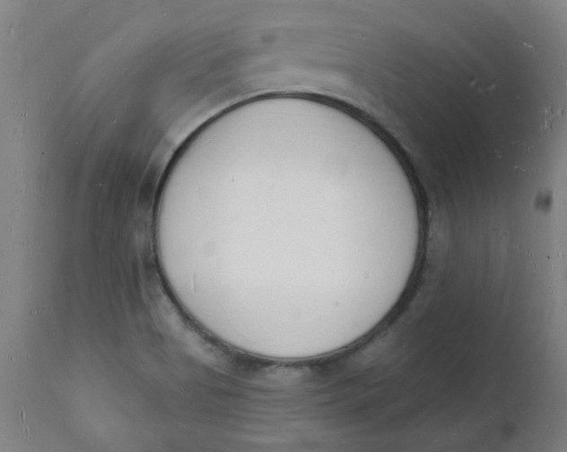 X0000112141513200908281305