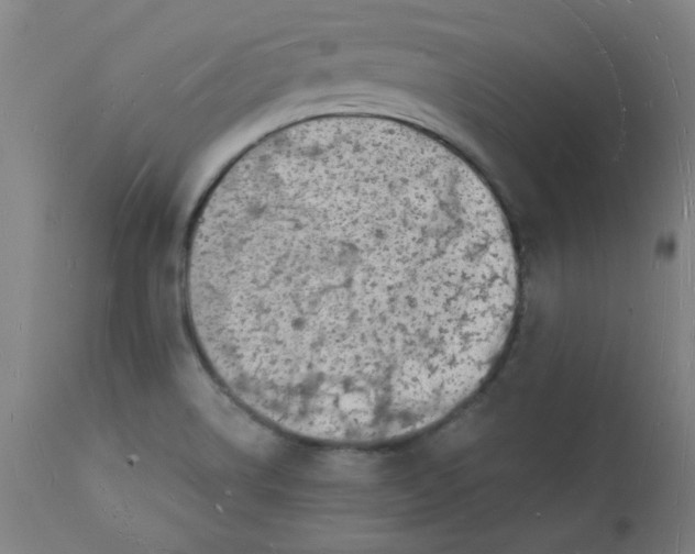 X0000112141514200908281305