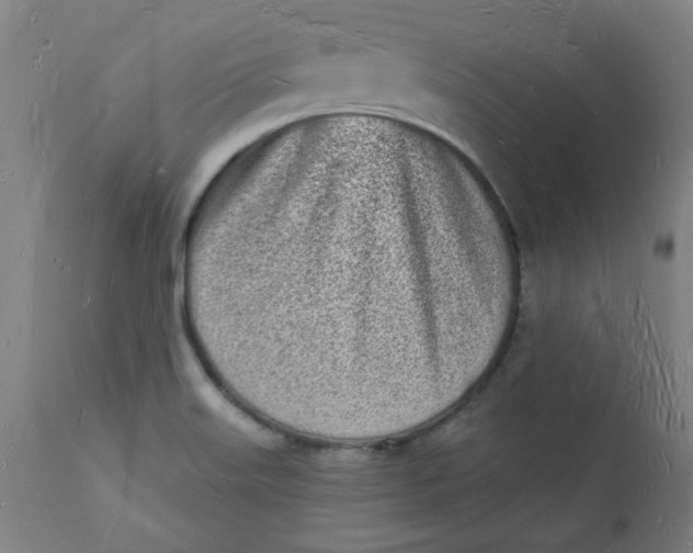 X0000112141515200908281305