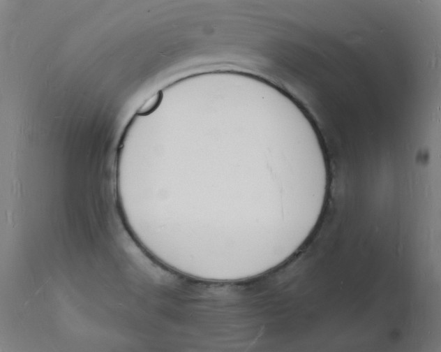 X0000112141516200908281305