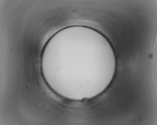 X0000112141517200908281305