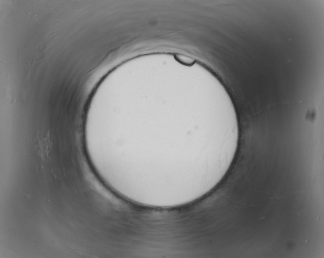 X0000112141518200908281305