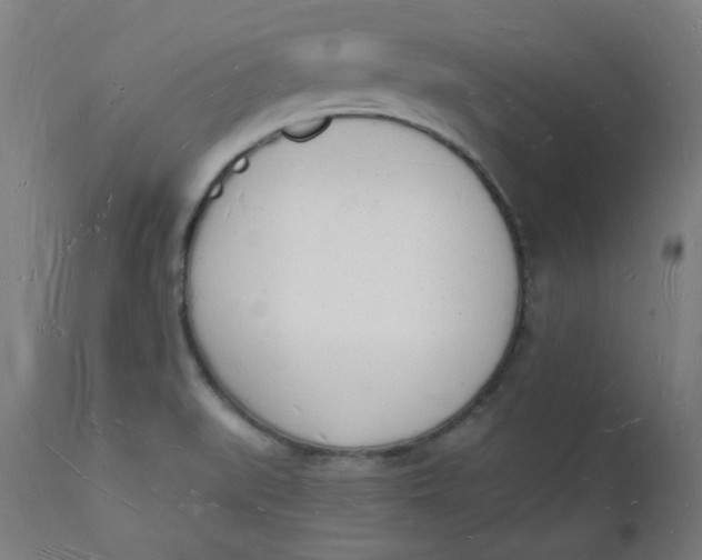 X0000112141519200908281305