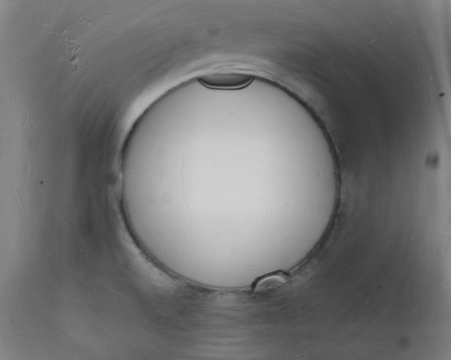 X0000112141520200908281305