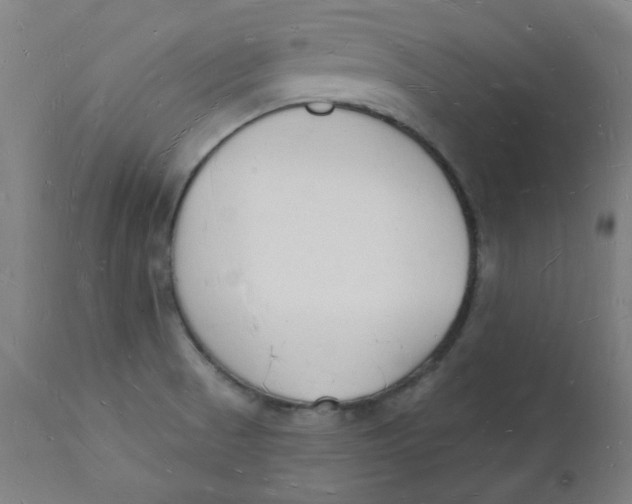 X0000112141521200908281305