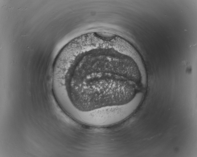 X0000112141522200908281305