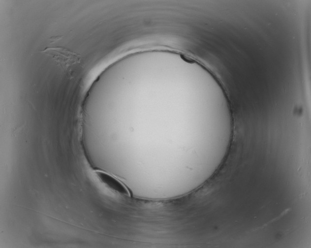 X0000112141524200908281305