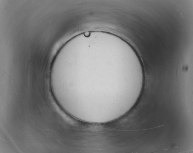 X0000112141525200908281305