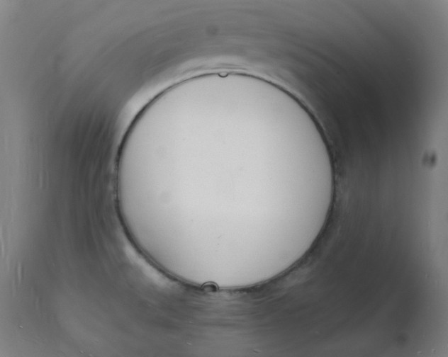 X0000112141527200908281305