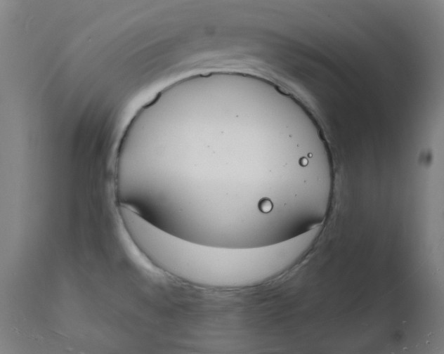 X0000112141528200908281305