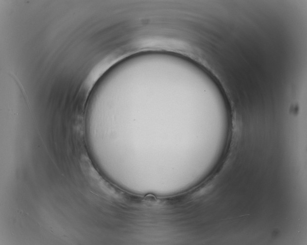 X0000112141529200908281305