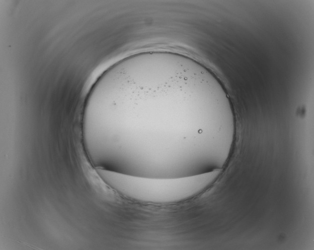 X0000112141530200908281305