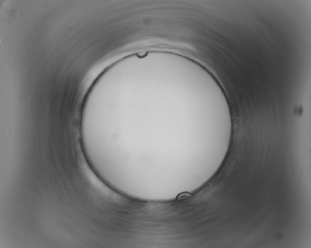 X0000112141531200908281305