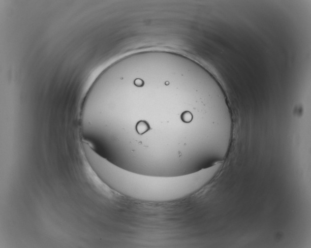 X0000112141532200908281305