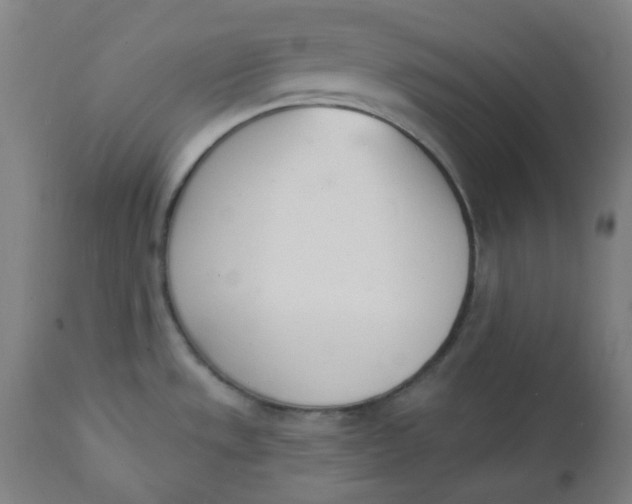 X0000112141533200908281305