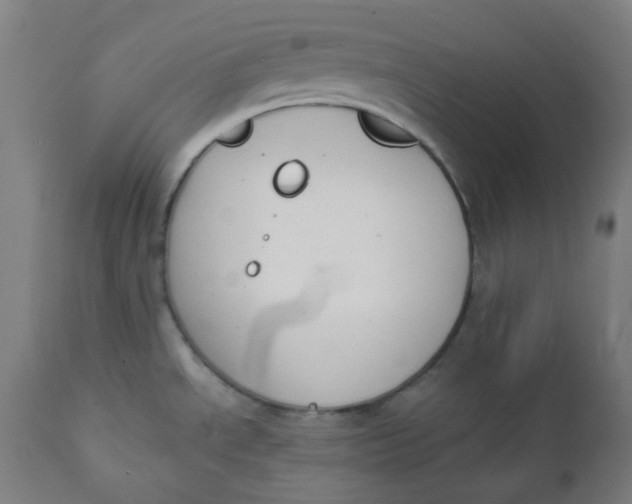 X0000112141534200908281305