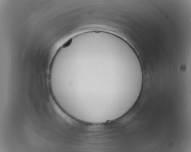 X0000112141535200908281305