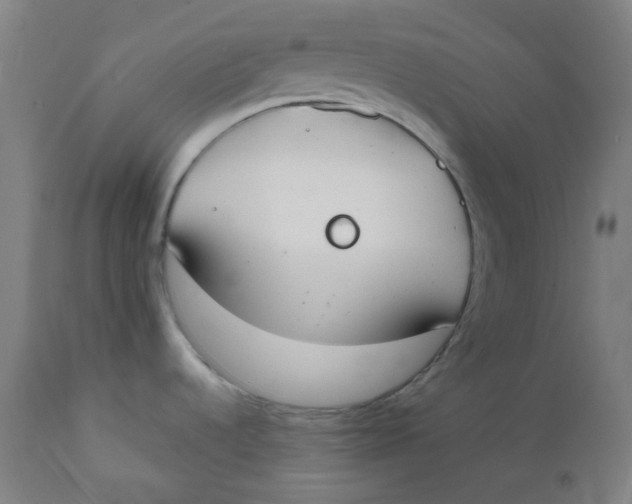 X0000112141536200908281305