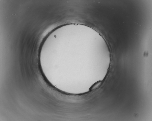 X0000112140008200909041050