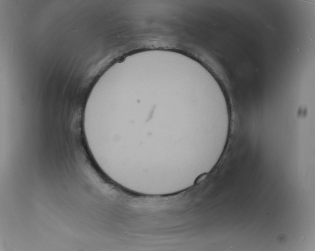 X0000112140009200909041050